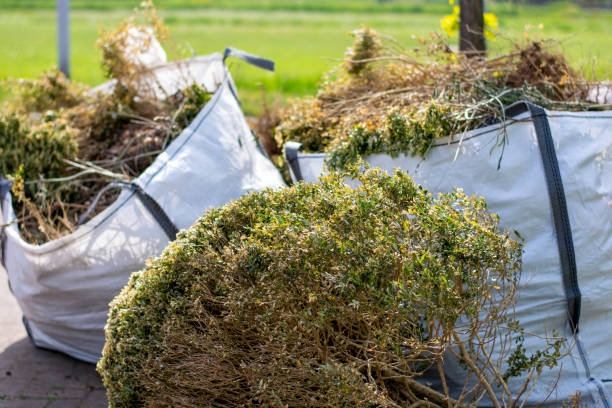 Demolition Debris Removal in Bell, CA